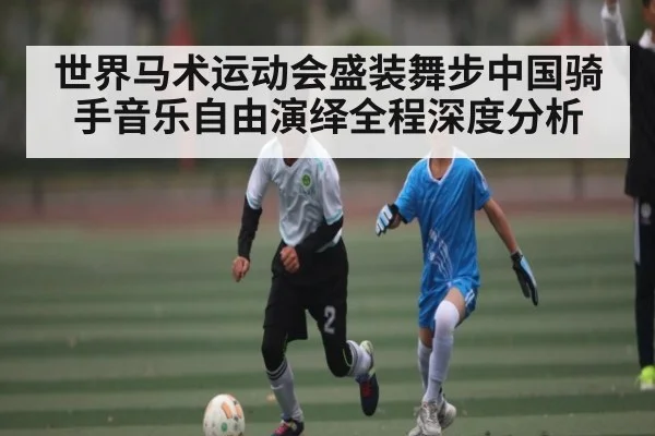 世界马术运动会盛装舞步中国骑手音乐自由演绎全程深度分析